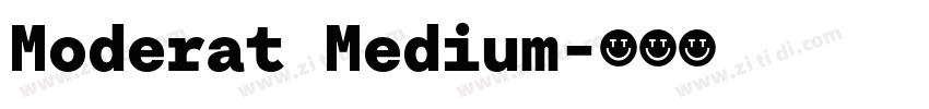 Moderat Medium字体转换